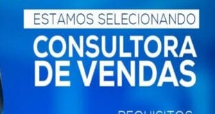 Consultora de vendas