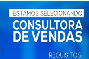 Consultora de vendas